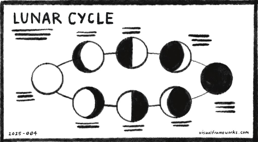 Lunar cycle